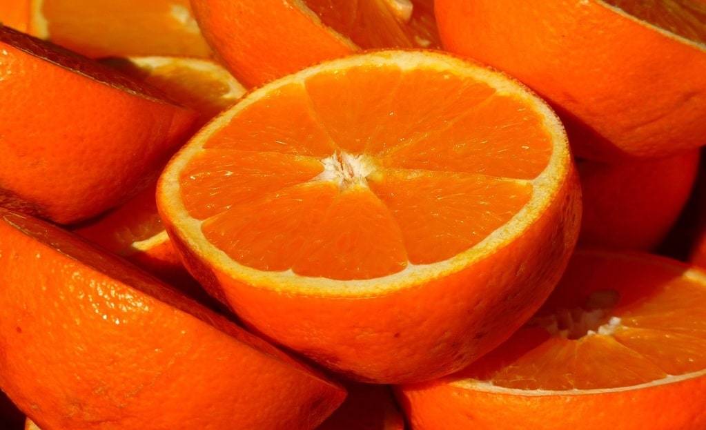 Les différentes variétés d'oranges et leurs caractéristiques distinctes